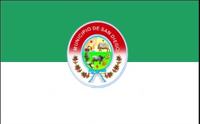 Bandera 2020.jpg